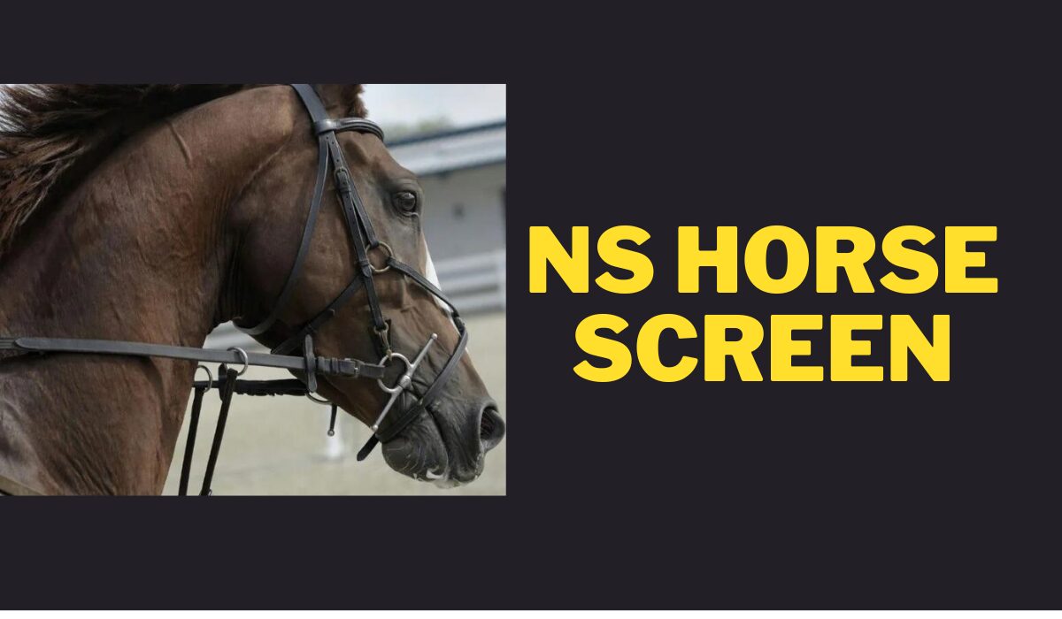 ns horse screen