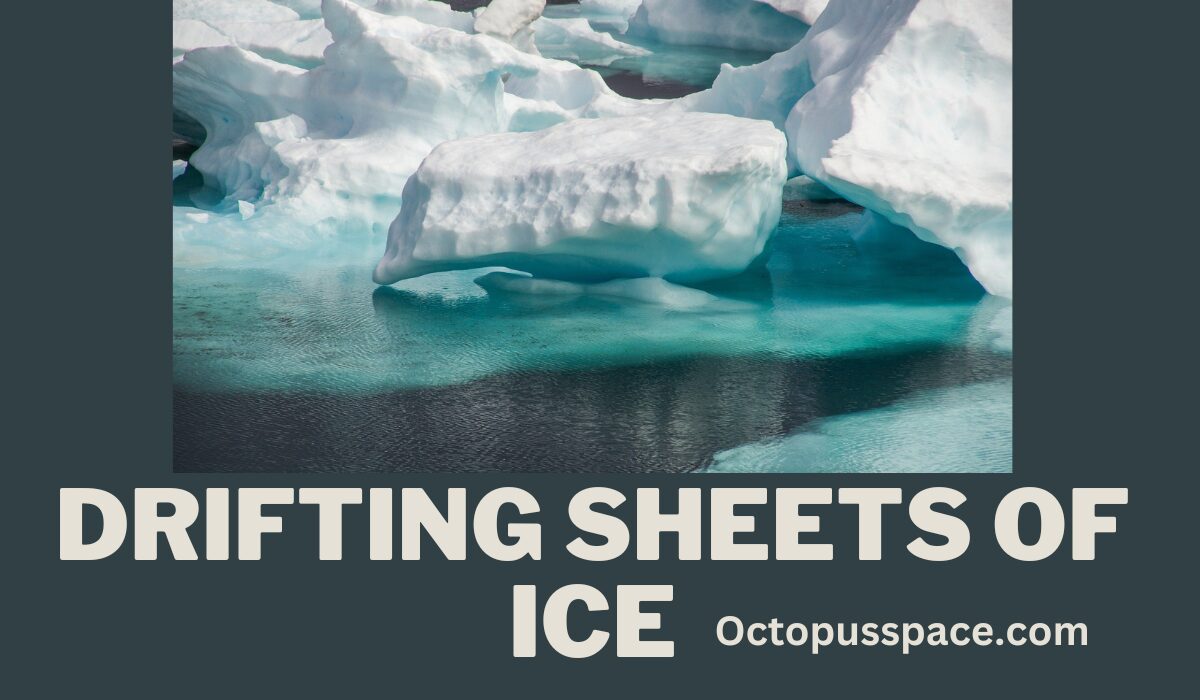 drifting sheets of ice