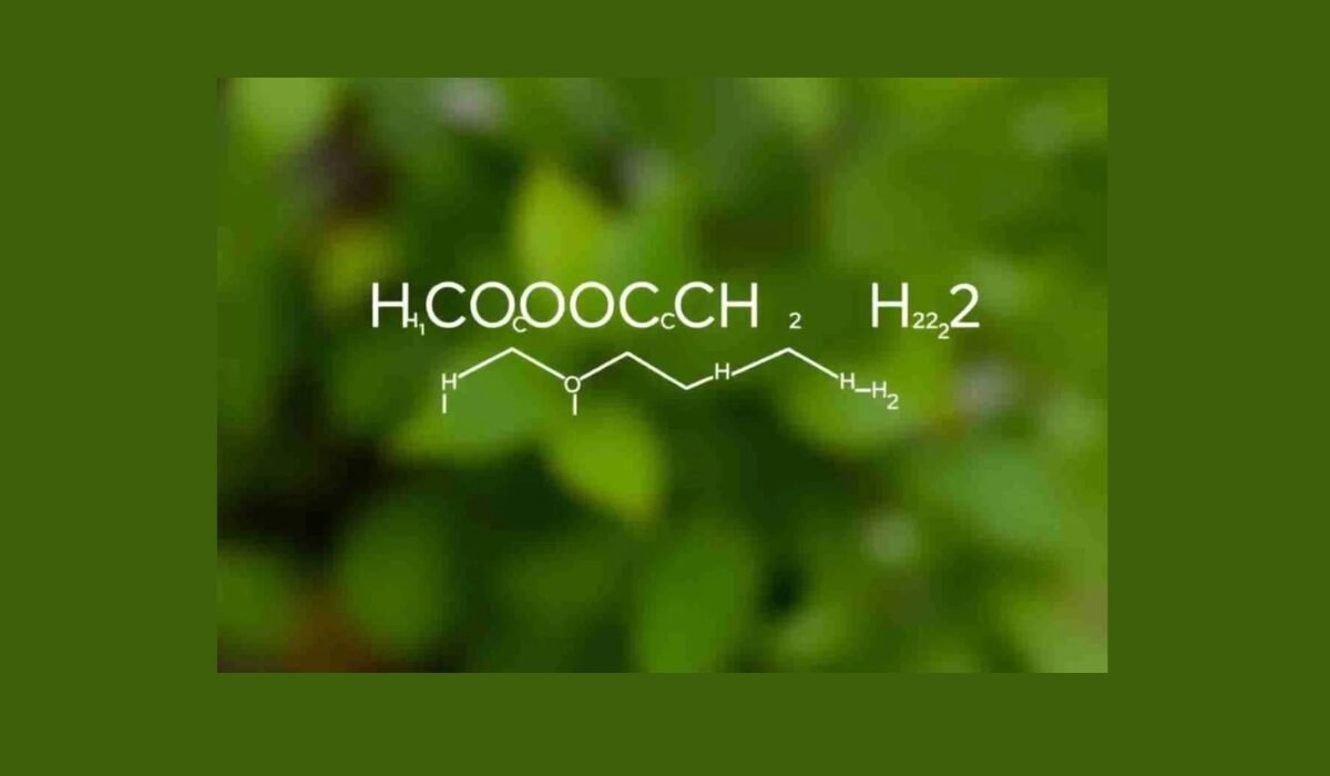 hcooch ch2 h2o