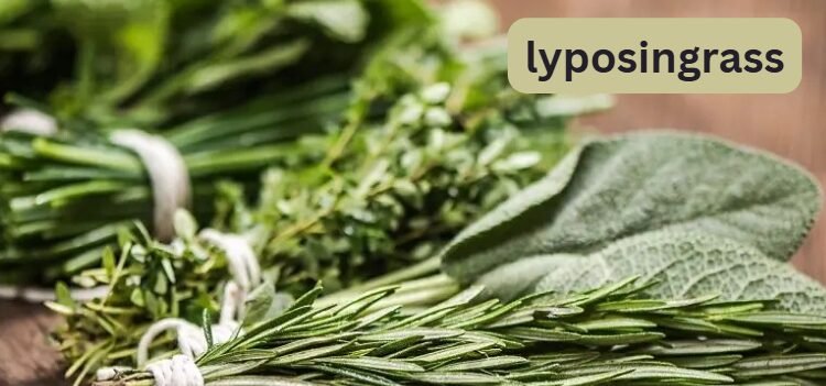 lyposingrass