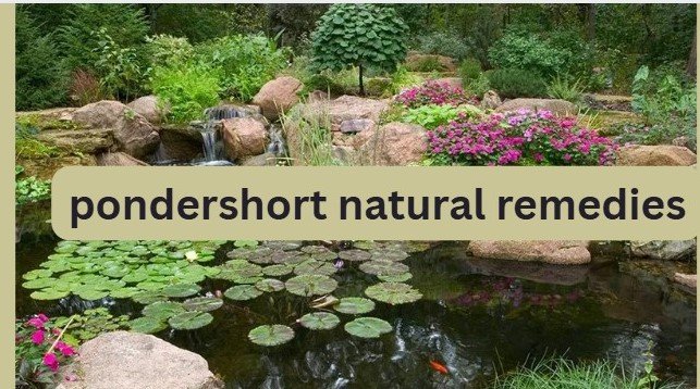 pondershort natural remedies